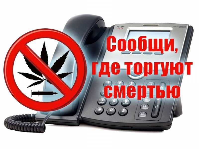 Прошёл первый этап общероссийской акции «Сообщи, где торгуют смертью».
