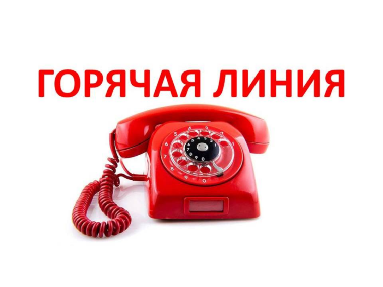 Проведение тематической горячей линии по вопросам детского отдыха, качества и безопасности детских товаров.