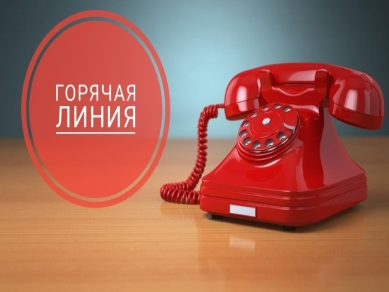 &quot;Горячая линия&quot; по профилактике клещевого энцефалита.